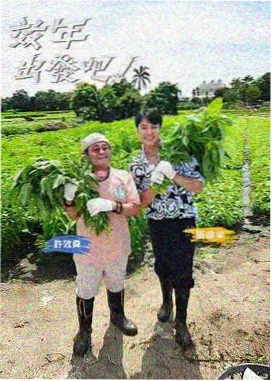 大侦探 推理综艺在线观看